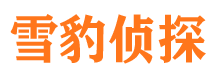 黟县市侦探调查公司